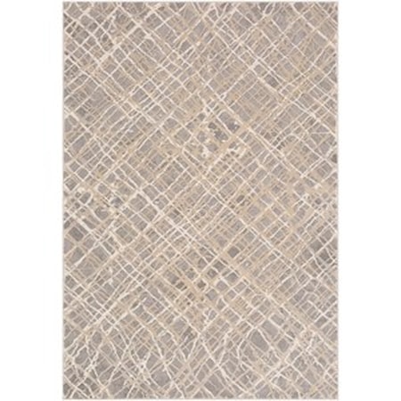 2' x 3' Rug