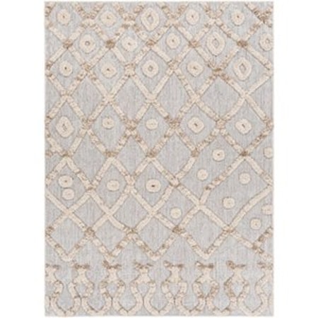 6'7" x 9' Rug