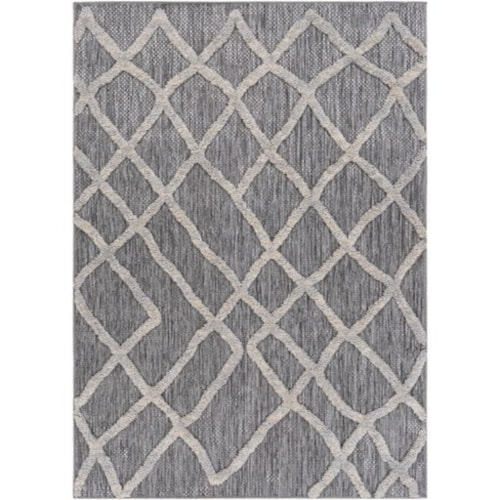 5'3" x 7' Rug