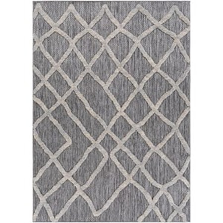 5'3" x 7' Rug