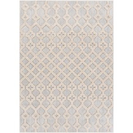 6'7" x 9' Rug