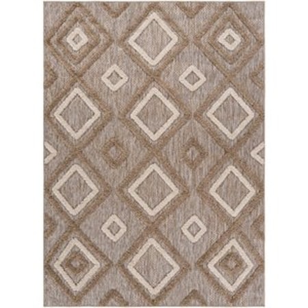 7'10" x 10' Rug