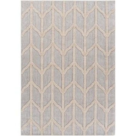 6'7" x 9' Rug