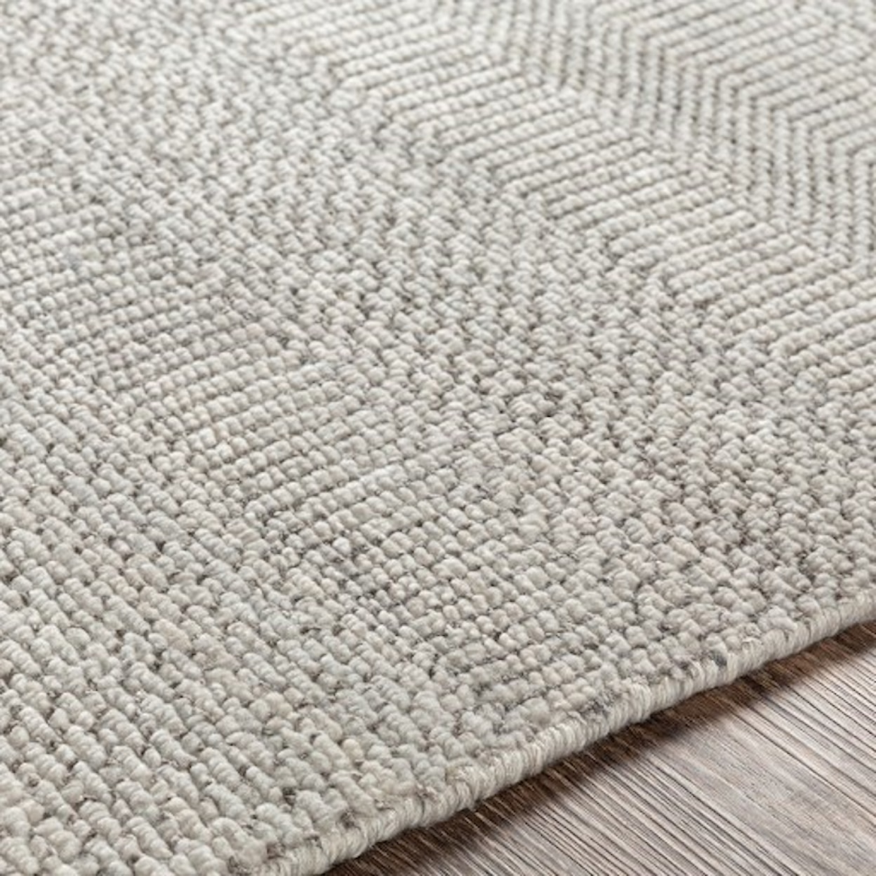 Surya Tribeca 2' x 3' Rug