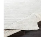 Surya Tundra 2' x 3' Rug