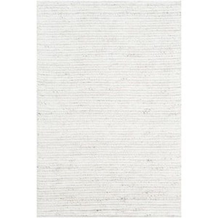 2' x 3' Rug