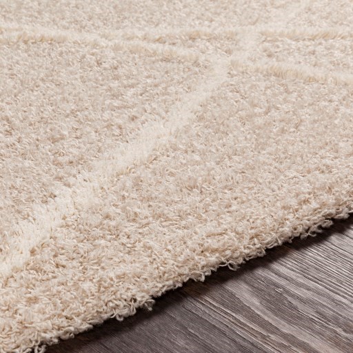 USG-2301 2' x 2'11" Rug