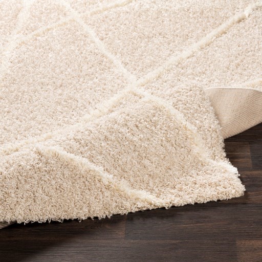 USG-2301 2' x 2'11" Rug