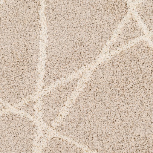 Surya Urban Shag USG-2301 2' x 2'11" Rug