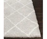Surya Urban Shag USG-2306 7'10" x 10'2" Rug