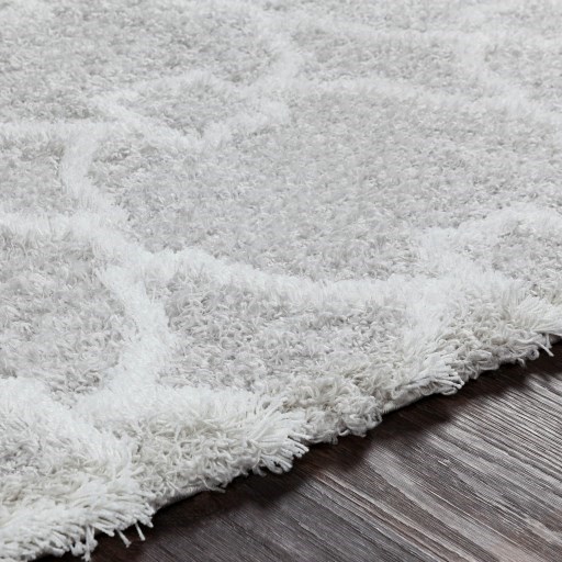 USG-2307 5'3" x 7'3" Rug