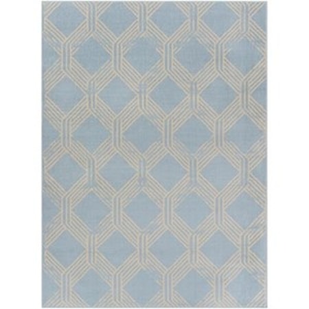 5'3" x 7'3" Rug