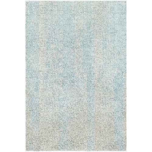 5' 3" x 7' 3" Rug