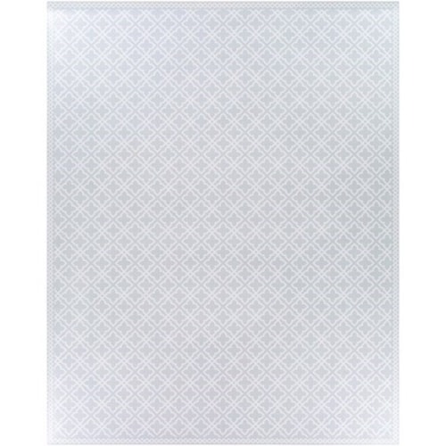 2' x 3'11" Rug