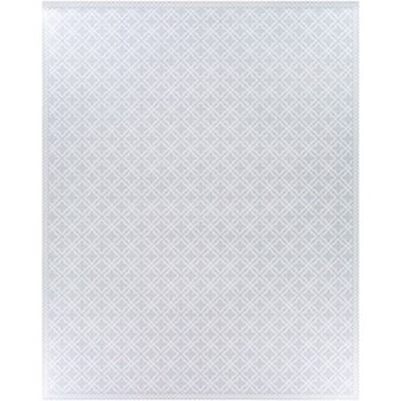 2' x 3'11" Rug