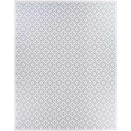 2' x 3'11" Rug
