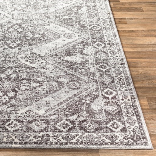 8'10" x 12'4" Rug