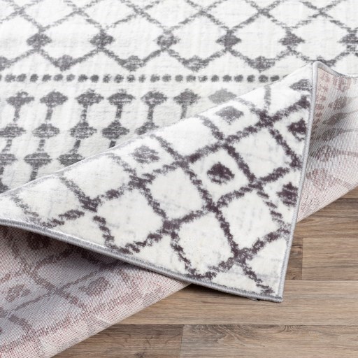 Surya Wanderlust 2' x 3' Rug