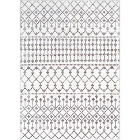 2' x 3' Rug