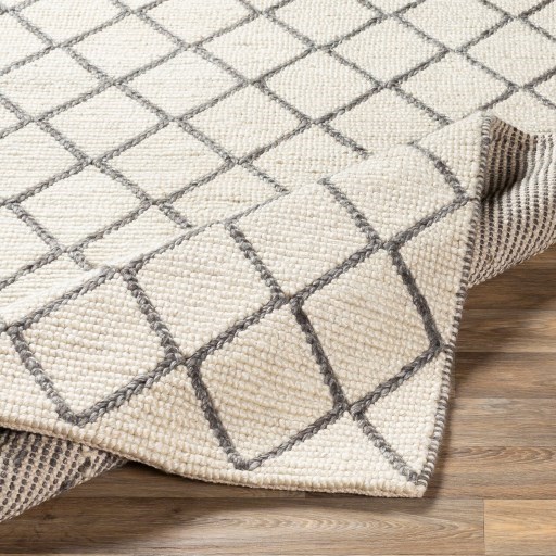 Surya Whistler 2' x 3' Rug