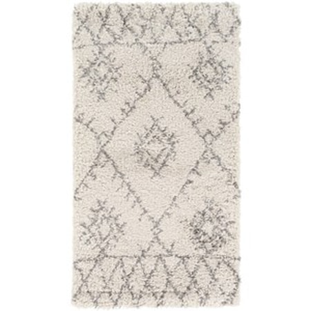 2' x 3'7" Rug