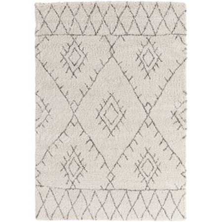 7'11" x 10'10" Rug