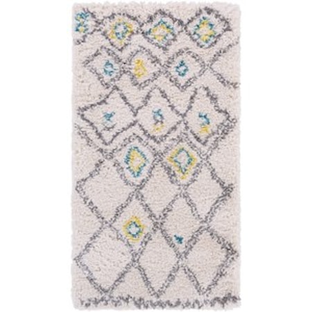 2' x 3'7" Rug