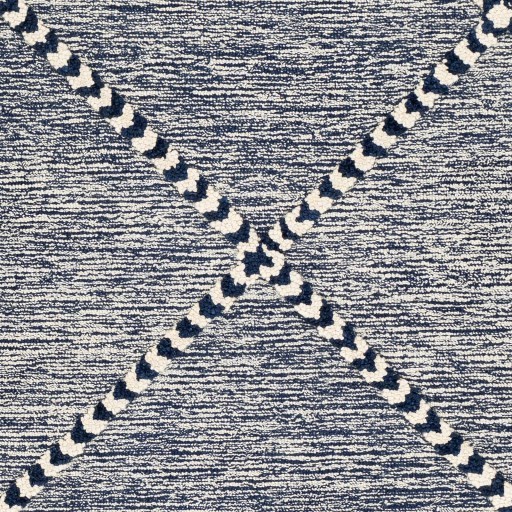 Surya Zanafi Tassels ZTS-2305 2' x 3' Rug