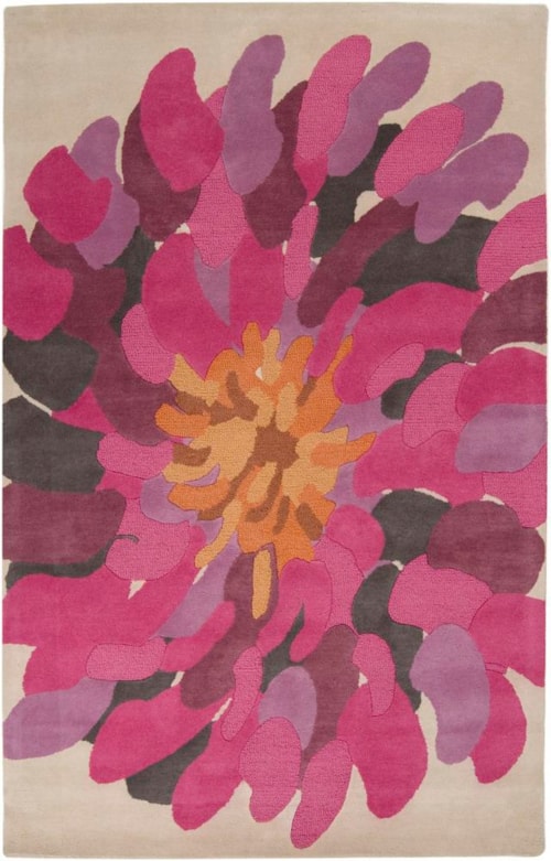 5' x 8'