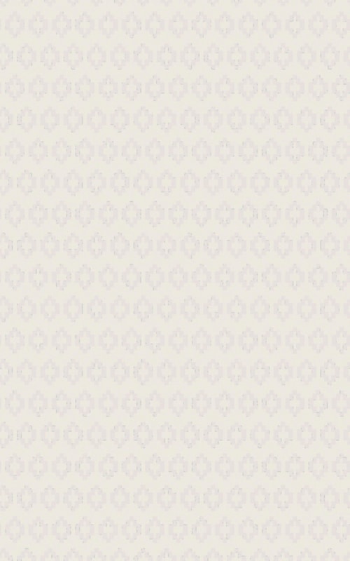 5' x 8'