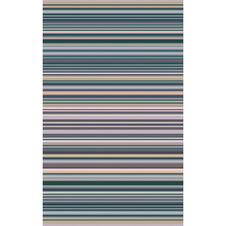 8' x 11'