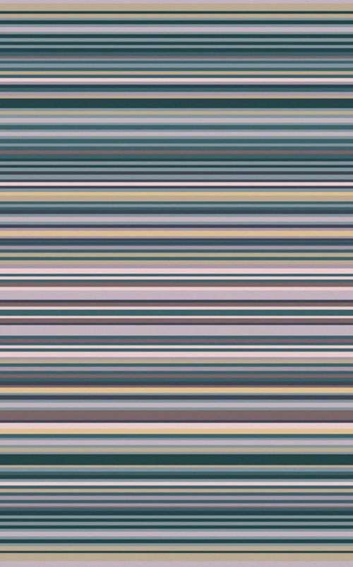 8' x 11'