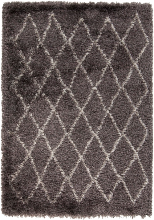 2' x 3'
