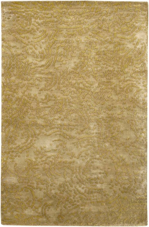 5' x 8'