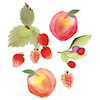 Tempaper Wall Decals Peach & Berry Medley