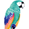 Tempaper Wall Decals Parrot