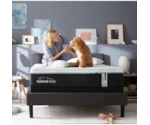 Tempur-Pedic® TEMPUR-PROADAPT™ Medium Hybrid Queen TEMPUR-PROADAPT™ Medium Hybrid LP Set