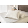 Tempur-Pedic® TEMPUR-Protect Pillow Protectors Tempur-Pedic Cloud King Pillow Protector