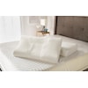 Tempur-Pedic® TEMPUR-Protect Tempur-Pedic Contour Queen Pillow Protector