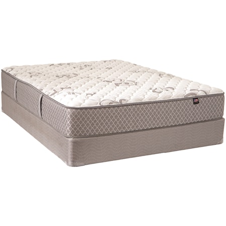 Twin Extra Long Firm Mattress and Box