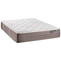 Queen Firm Mattress and Motion Essentials III Adjustable Base