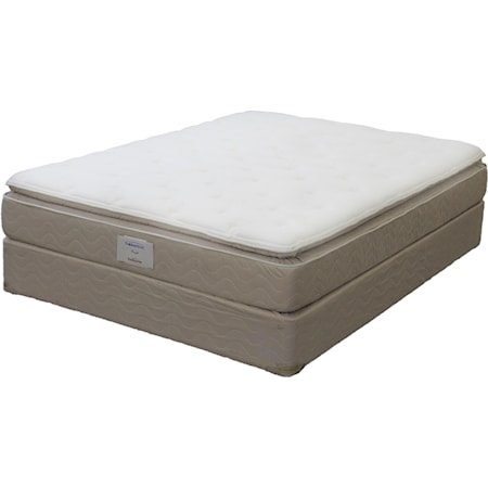 Twin SPT Mattress Set