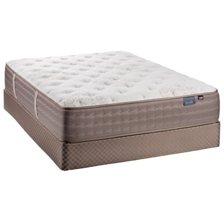 Queen Plush Pocketed Coil Mattress Set
