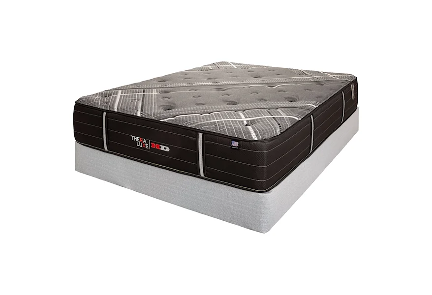 Spruce II Queen Heavy Duty Mattress Set by Therapedic at Darvin Furniture