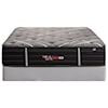 Therapedic Spruce II Queen Heavy Duty Mattress Set