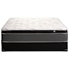 Therapedic Taylor Euro Top Queen Euro Top Mattress Set