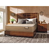 Therapedic Tommy Bahama Shake the Sand Plush 6036 Queen Plush Luxry Mattress