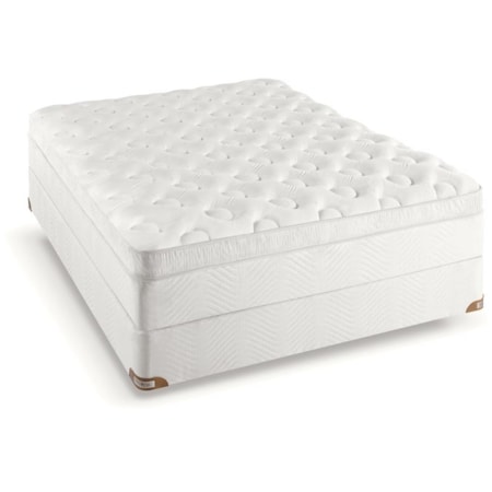 Beacon Hill Euro Top