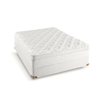 Sophisticate Euro Top Mattress