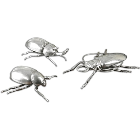 Beetles, Set of 3